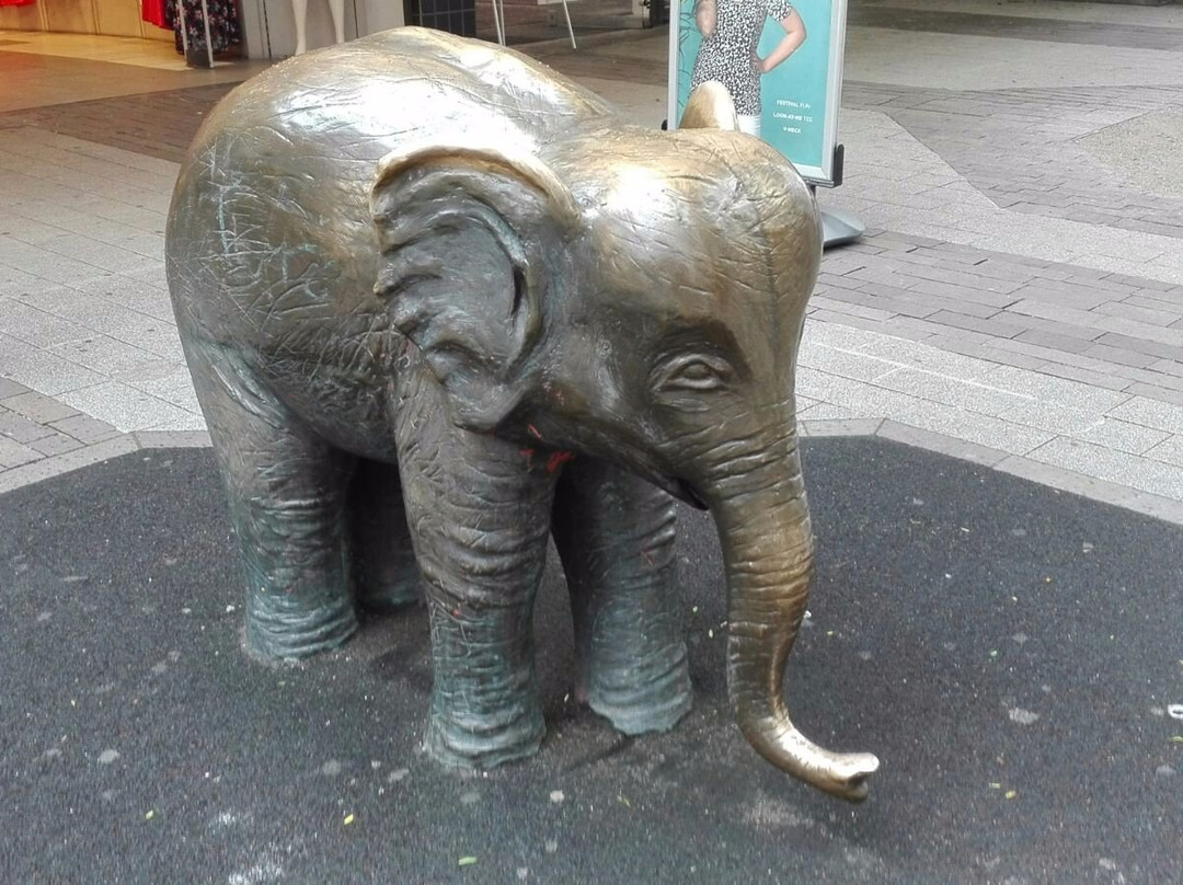 Bronzeelefant "Tuffi"景点图片