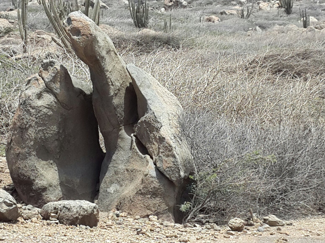 Grapefield Climbing Area-San Nicolas必去景点