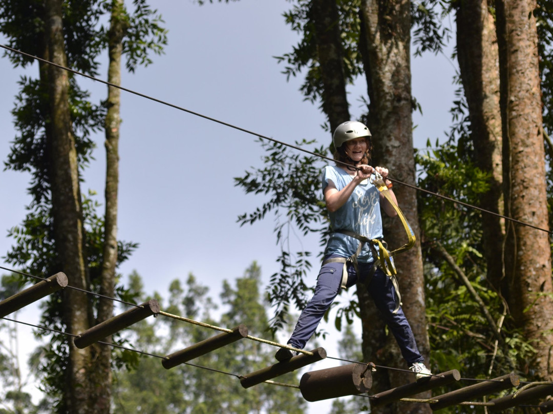 Baturraden Adventure Forest景点图片