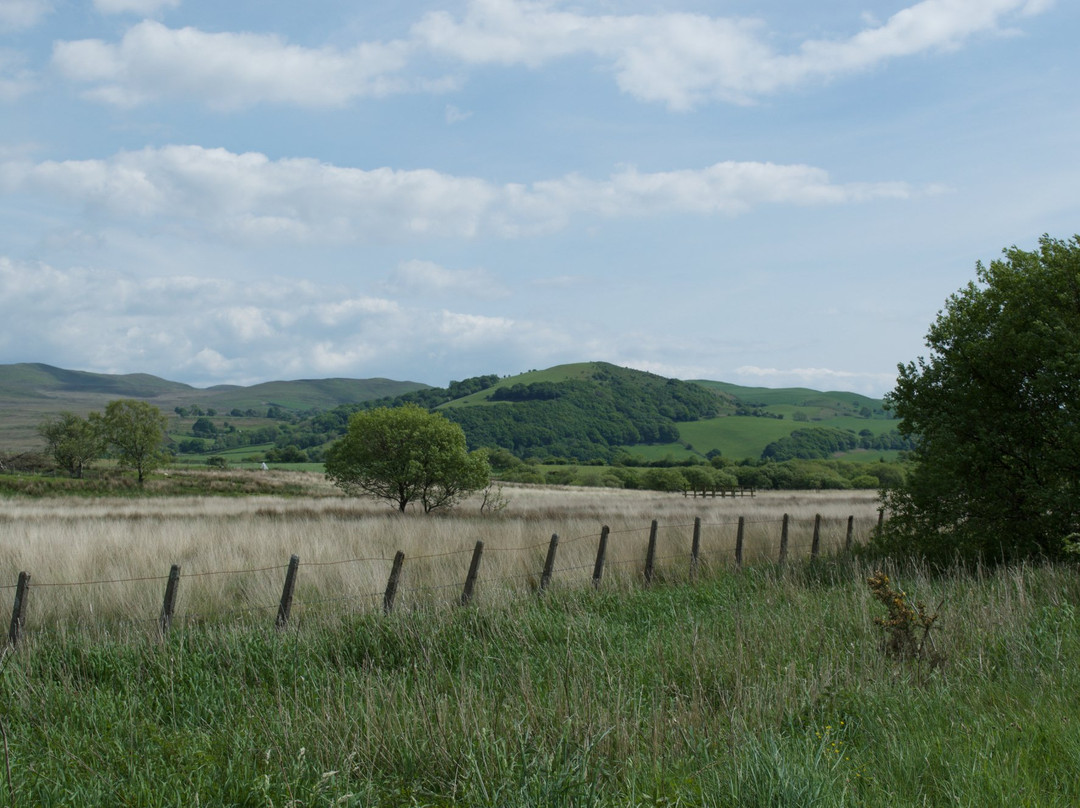 Cors Caron-Tregaron必去景点