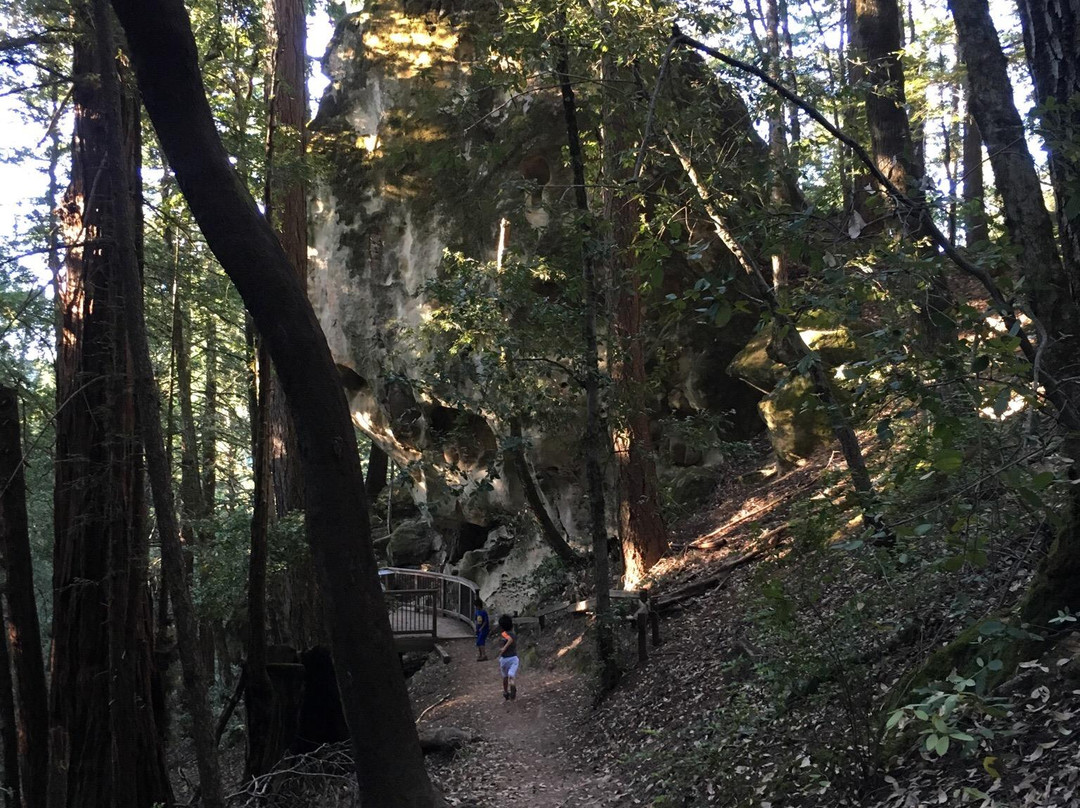 El Corte De Madera-Woodside必去景点