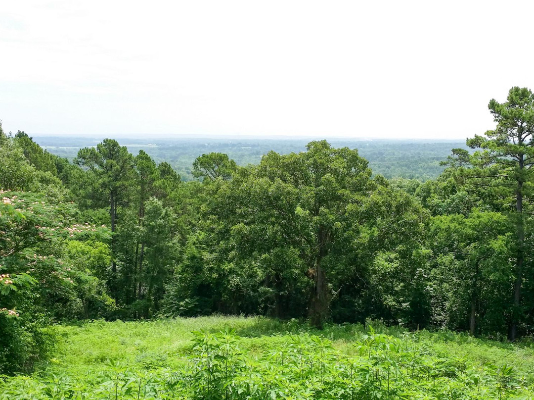 Love's Lookout-Jacksonville必去景点
