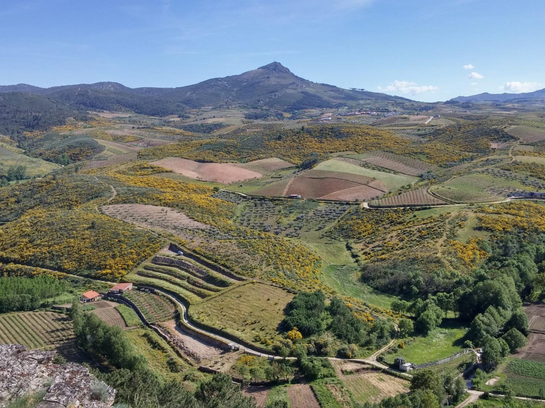 Miradouro da Capela de Santa Barbara景点图片