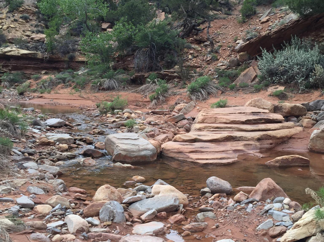 Arch Canyon-布兰丁必去景点
