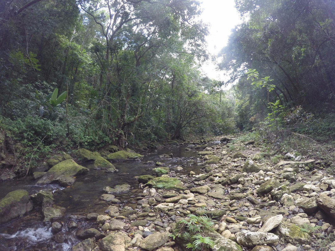 Charco El Ataud-Adjuntas必去景点