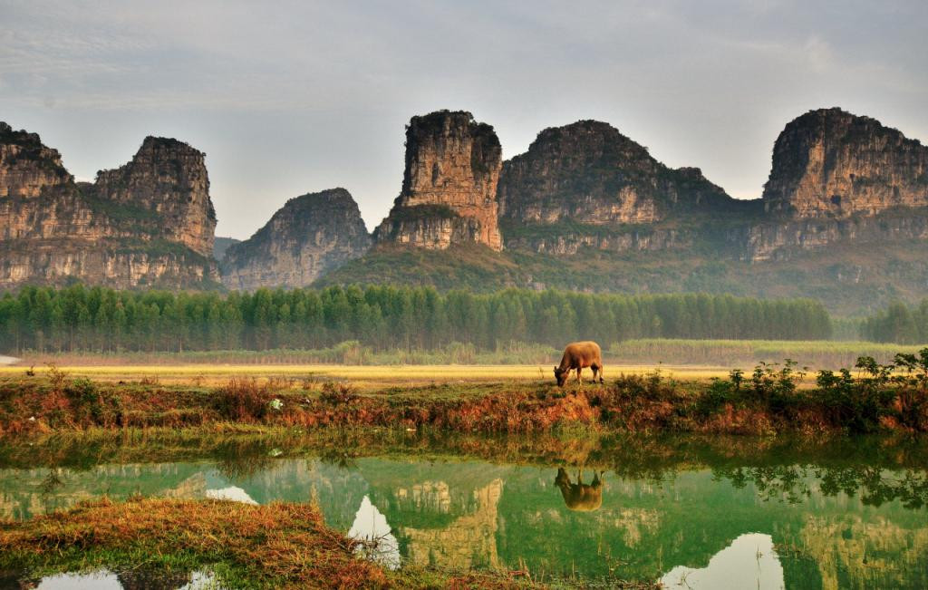 毛塘湿地公园-上林县必去景点