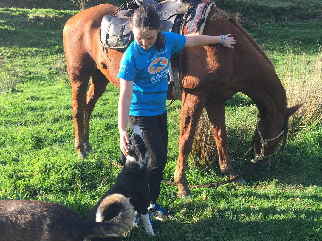 Adventure Horse Trekking景点图片
