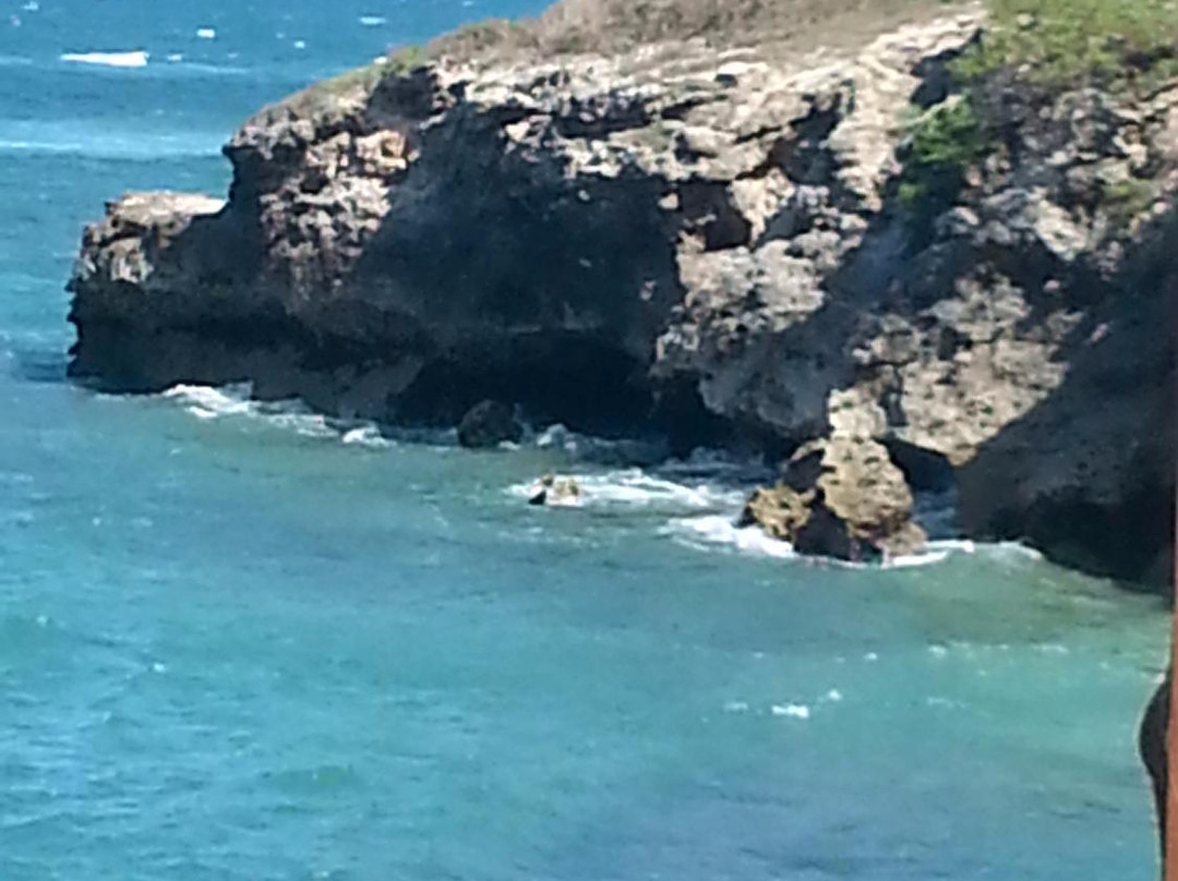 Sea Cliff Village-Dar es Salaam必去景点