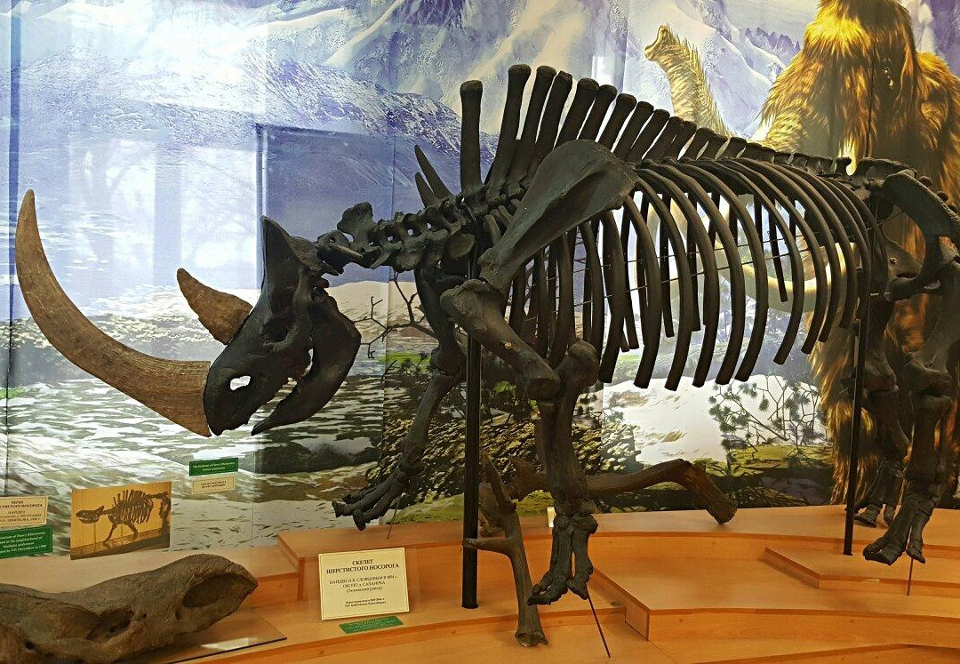 City Council Local History Museum