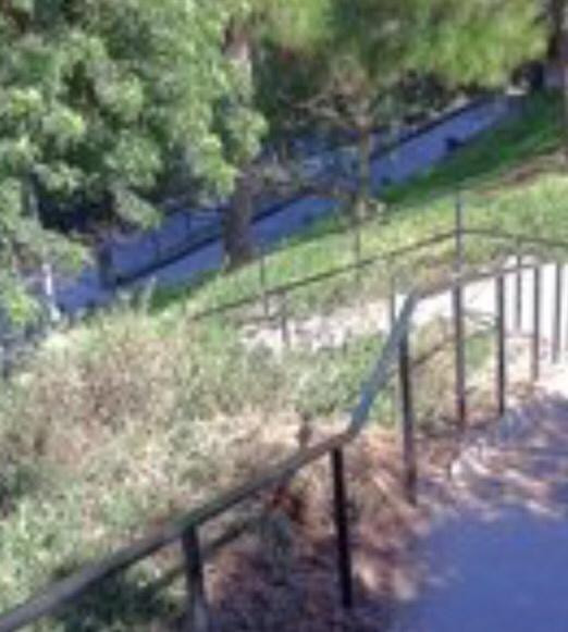 Sand Dune Park-曼哈顿海滩必去景点