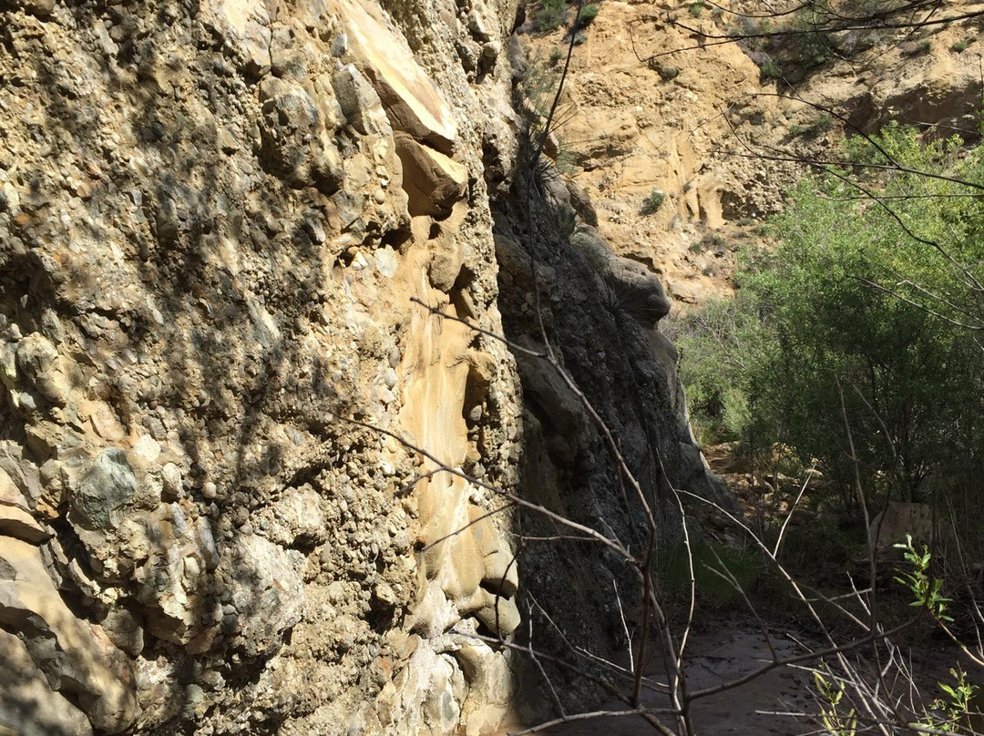 Santa Clarita Woodlands Park景点图片