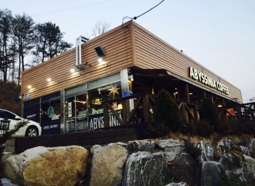 아비시니아 커피