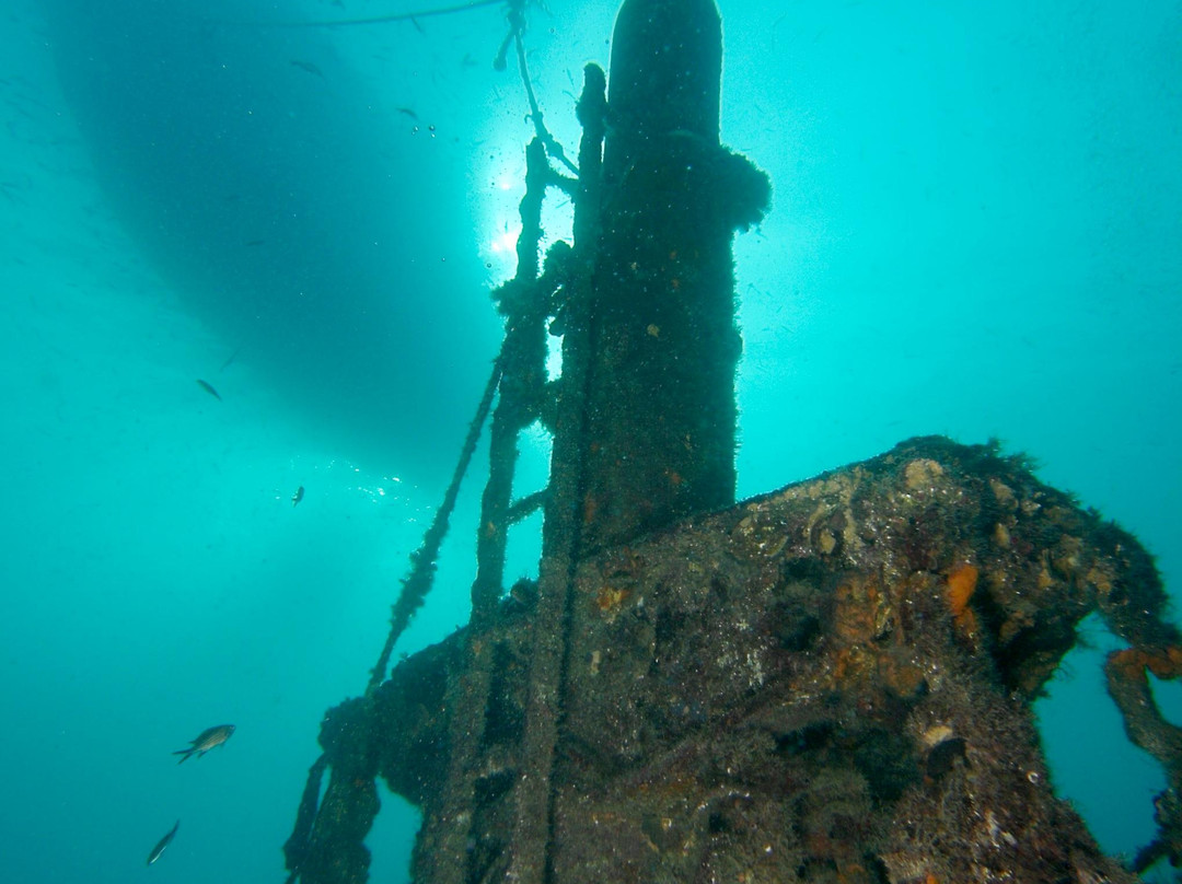 Dive City景点图片