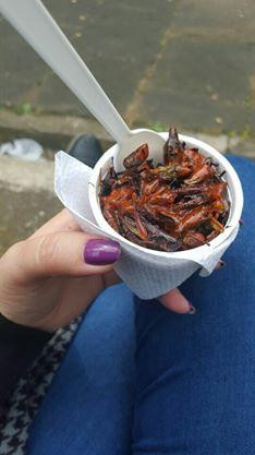 Parque Los Berros-哈拉帕必去景点