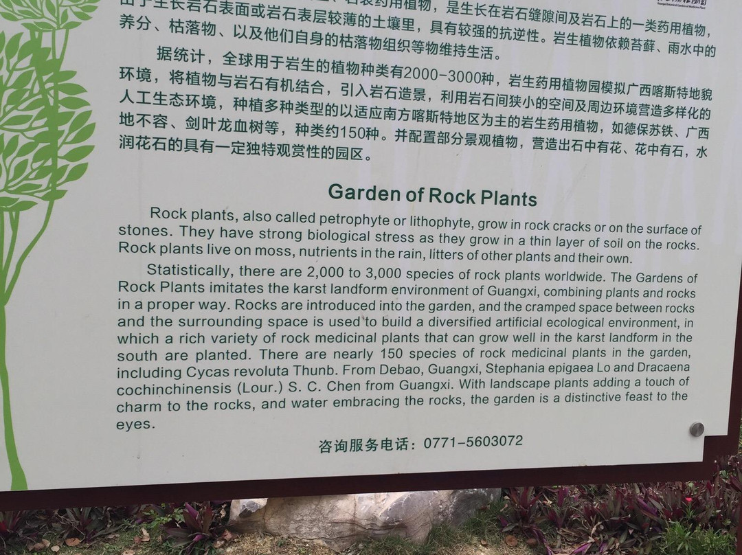 广西药用植物园景点图片