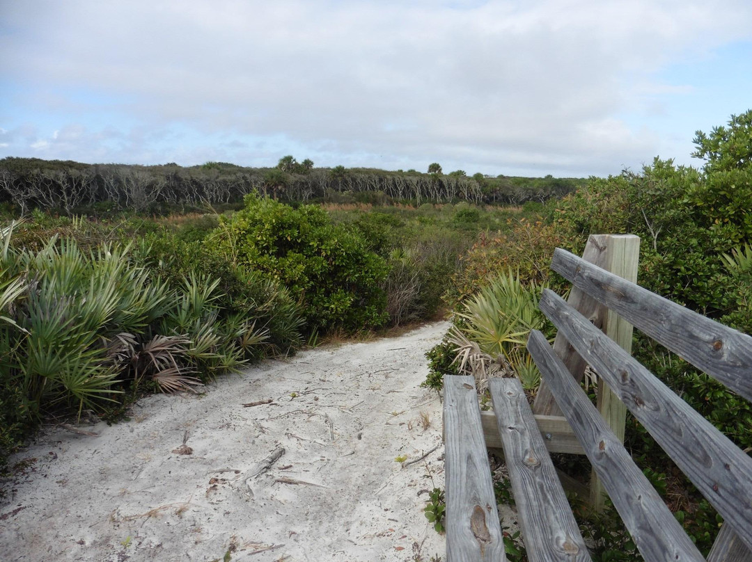 North Peninsula State Park-Flagler Beach必去景点