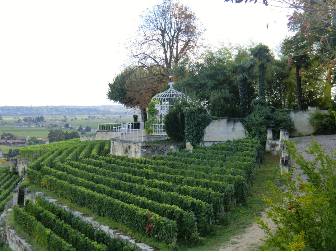 Chateau Ausone景点图片