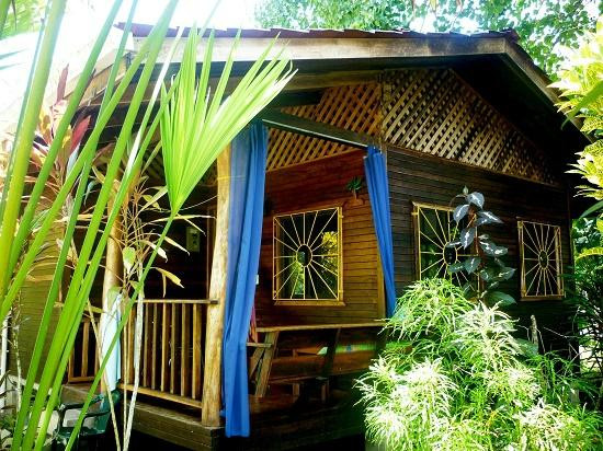 Pangea Lodge Tropical Vibe Home with Shared Pool