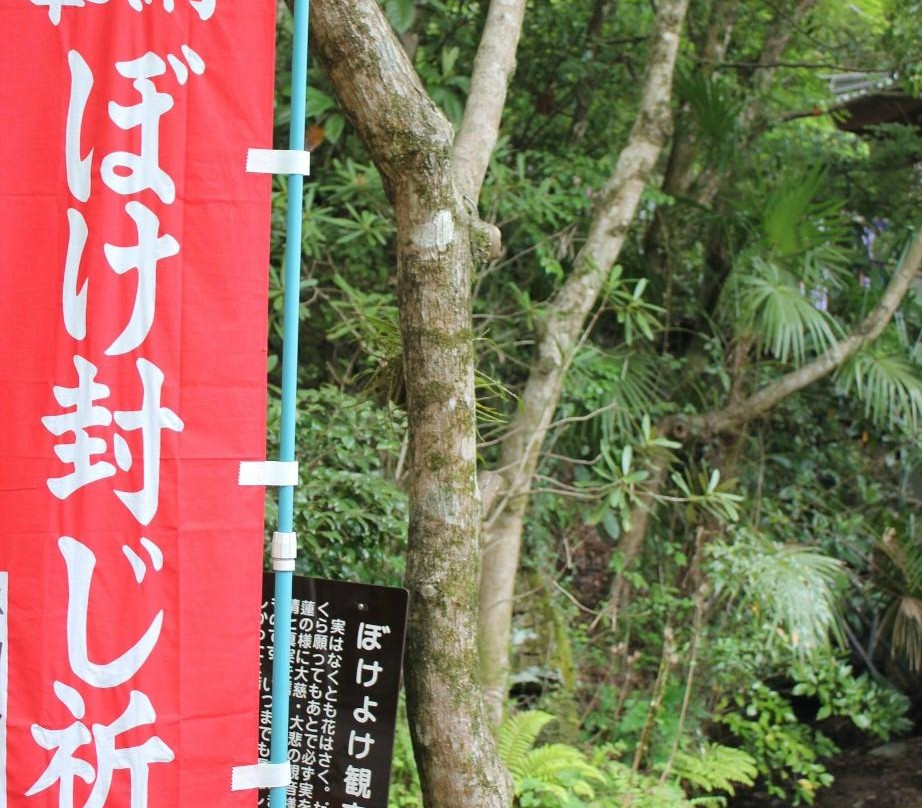 Ryuzoji Temple-山口市必去景点
