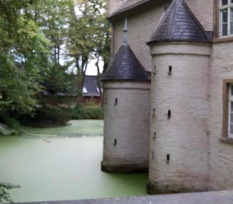 Wasserschloss Werdringen景点图片