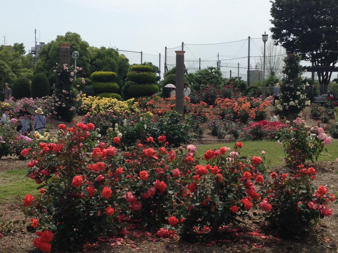 Wakazono Park-茨木市必去景点
