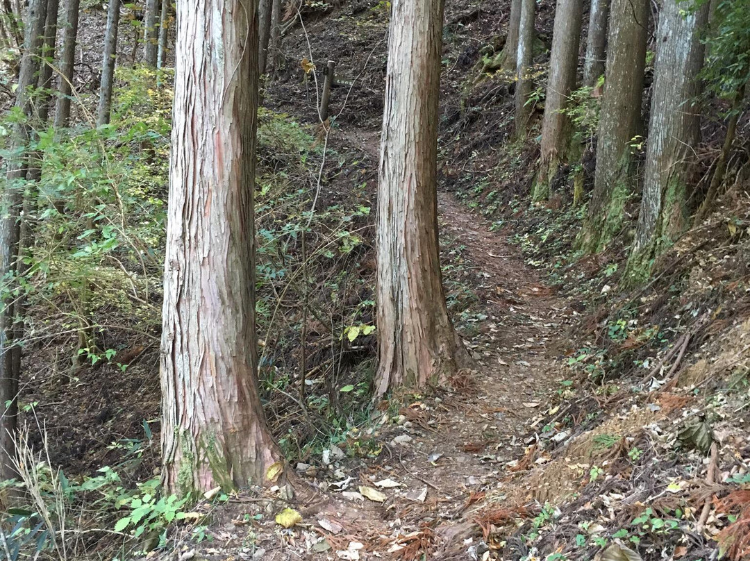Marugami Falls景点图片
