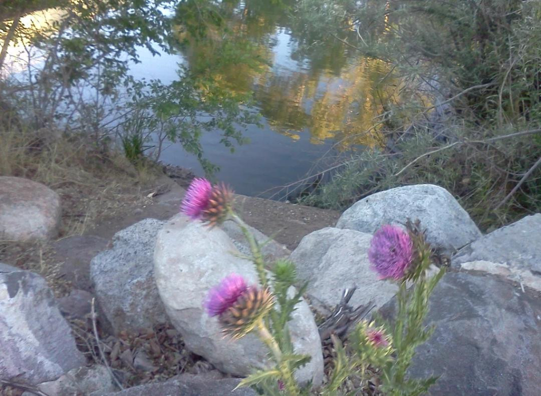 The Rock Park-斯帕克斯必去景点