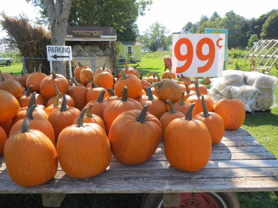 Balderston's Farm Market-Stratford必去景点