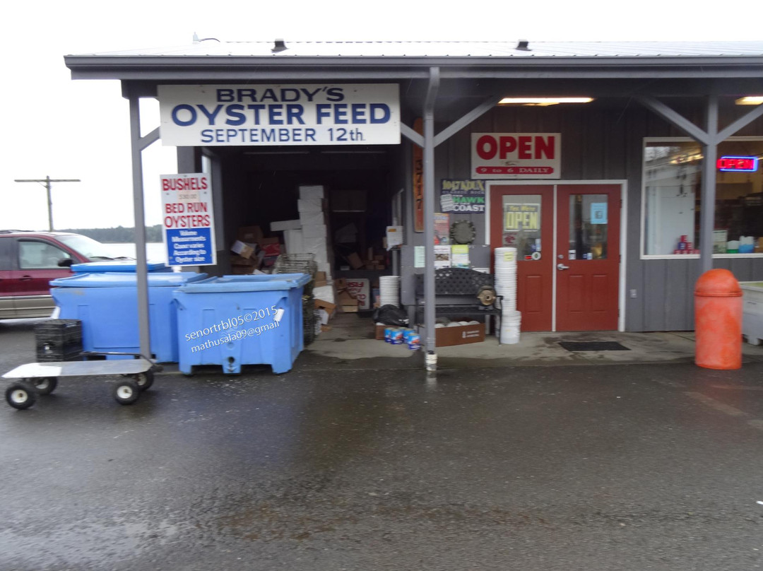 Brady's Oysters景点图片