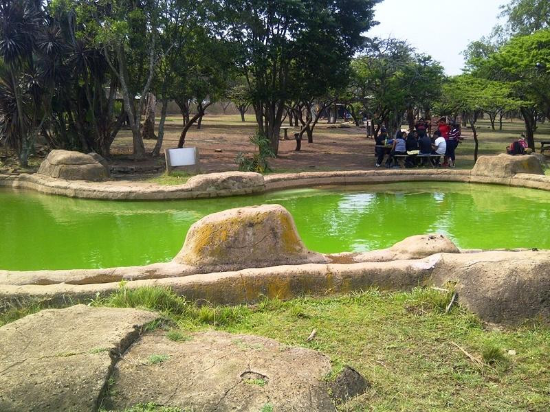 Tala Private Game Reserve-彼得马里茨堡必去景点