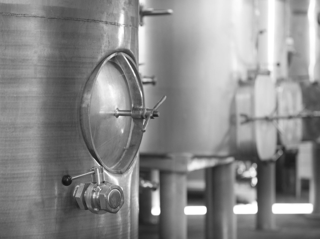 Wrights Vineyard & Winery-Manutuke必去景点