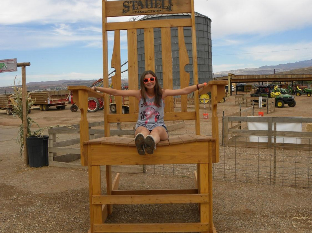 Staheli Family Corn Maze-Washington必去景点