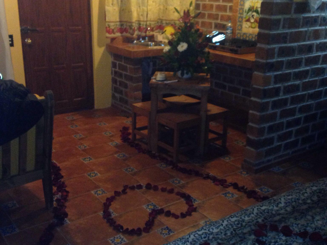 Hotel Alan Prince主图