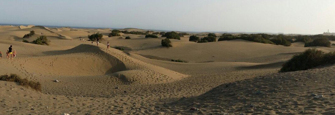 Reserva Natural Especial de Las Dunas de Maspalomas景点图片