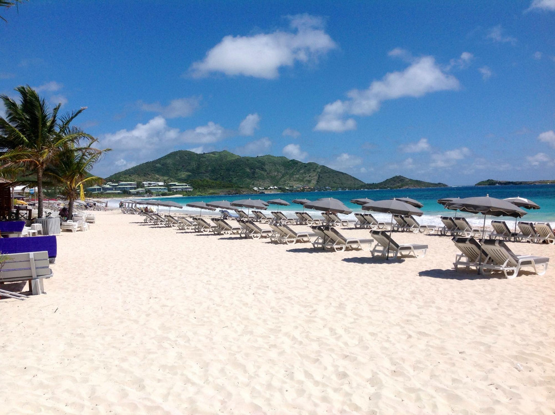 Amigo Tours - Day Tours-菲利普斯堡必去景点