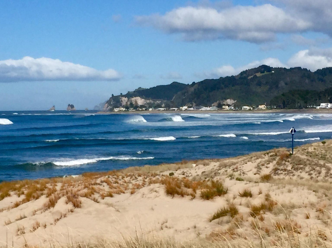 Whangamata Beach景点图片