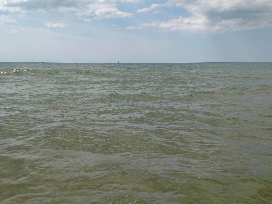 Saugatuck Dunes State Park景点图片
