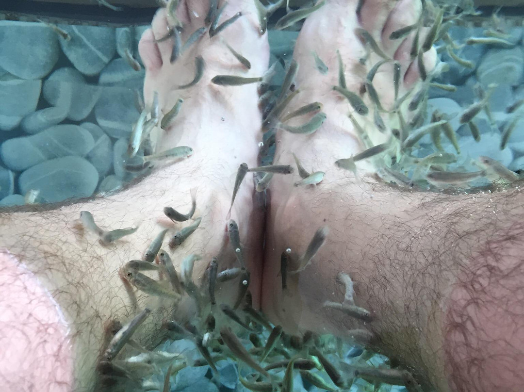 Fish Spa景点图片