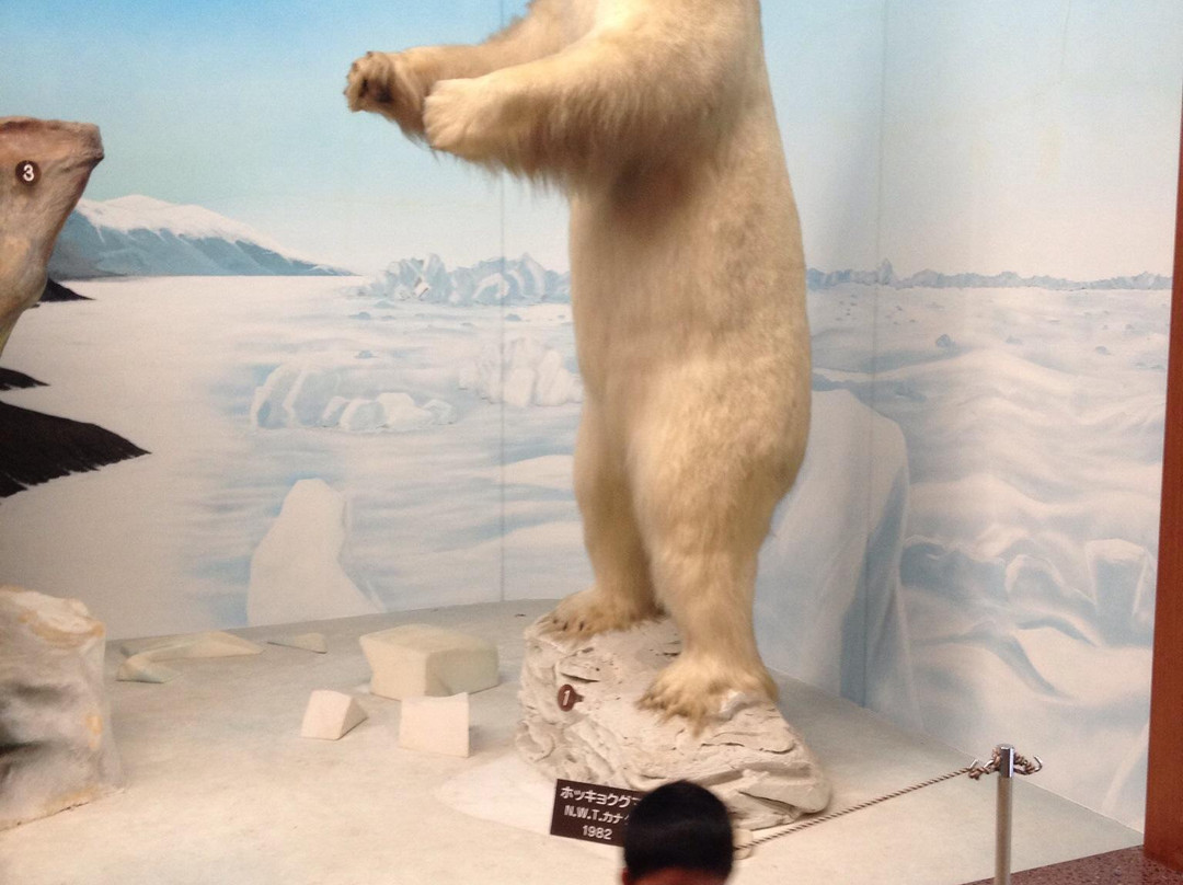 Shiga Safari Museum-甲贺市必去景点