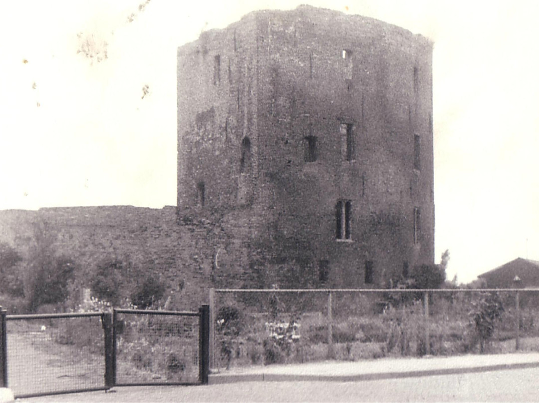 The Ruins Of Teylingen景点图片
