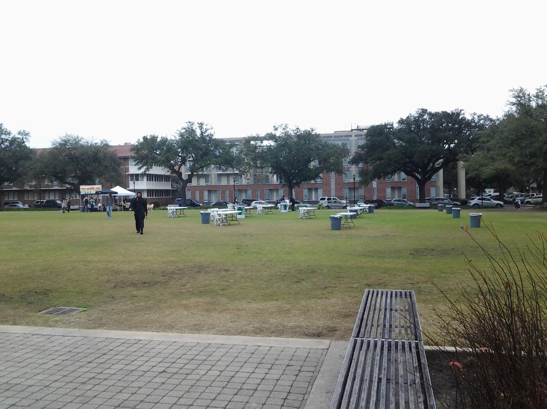 Tulane University景点图片