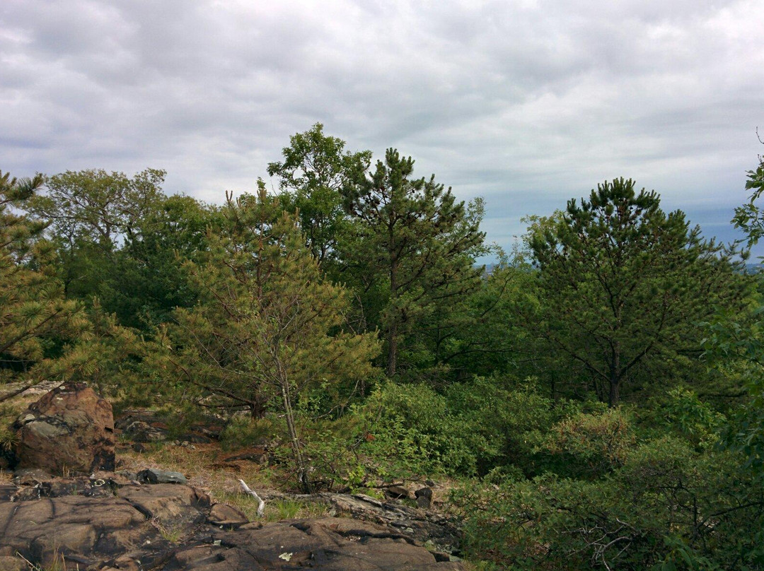Middlesex Fells Reservation景点图片
