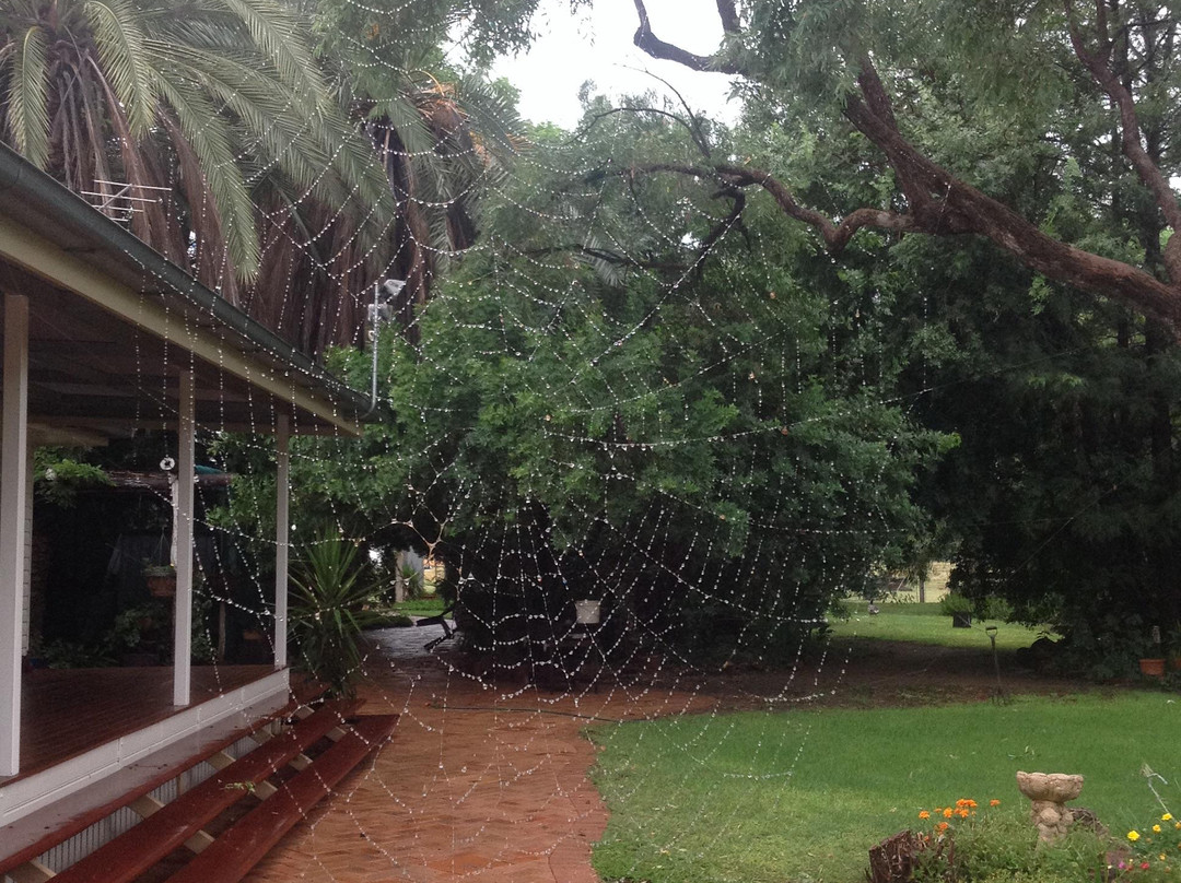 El Dorado Farm Visits-Roma必去景点