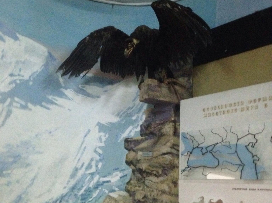 State Joint Museum of the Kabardino-Balkar Republic景点图片