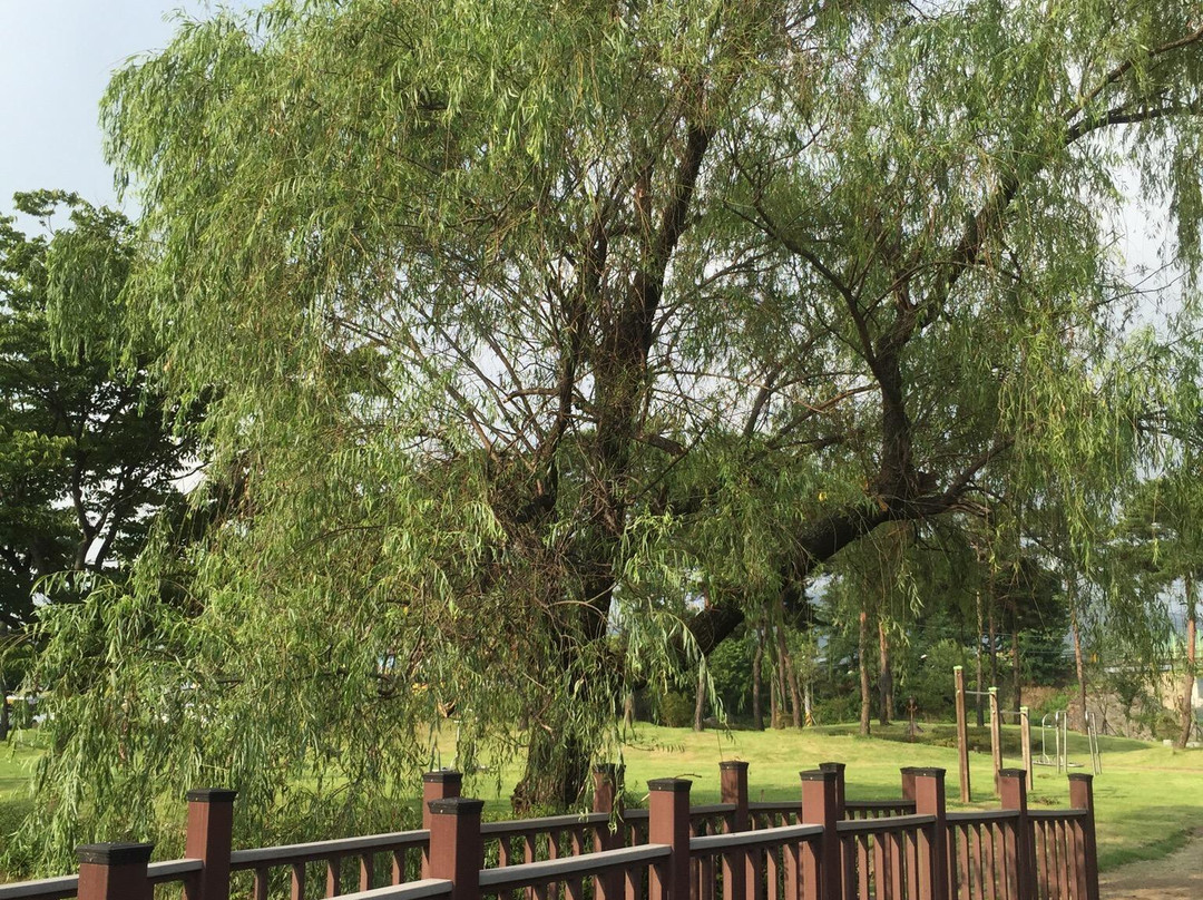 Yudang Park-光阳市必去景点