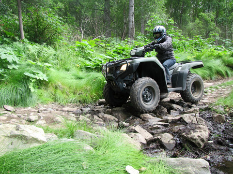 Alaska Backcountry Adventure Tours-帕尔默必去景点