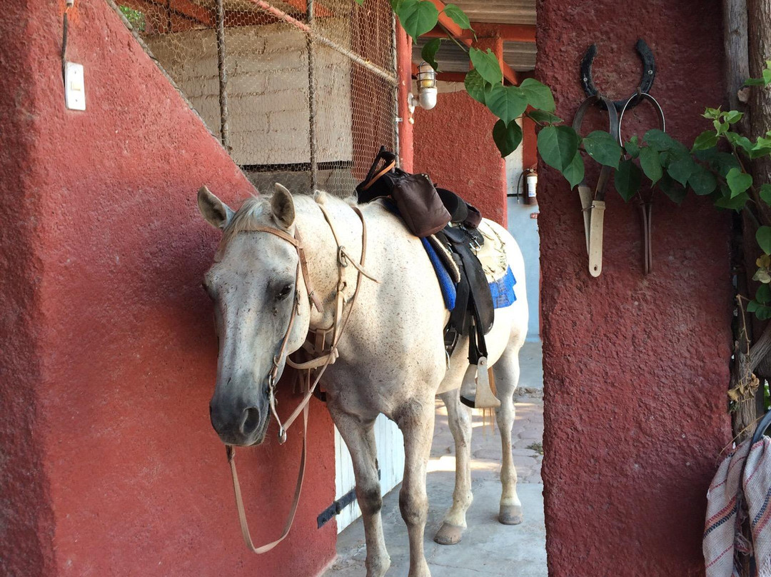El Rancho del Desierto-圣卡洛斯必去景点