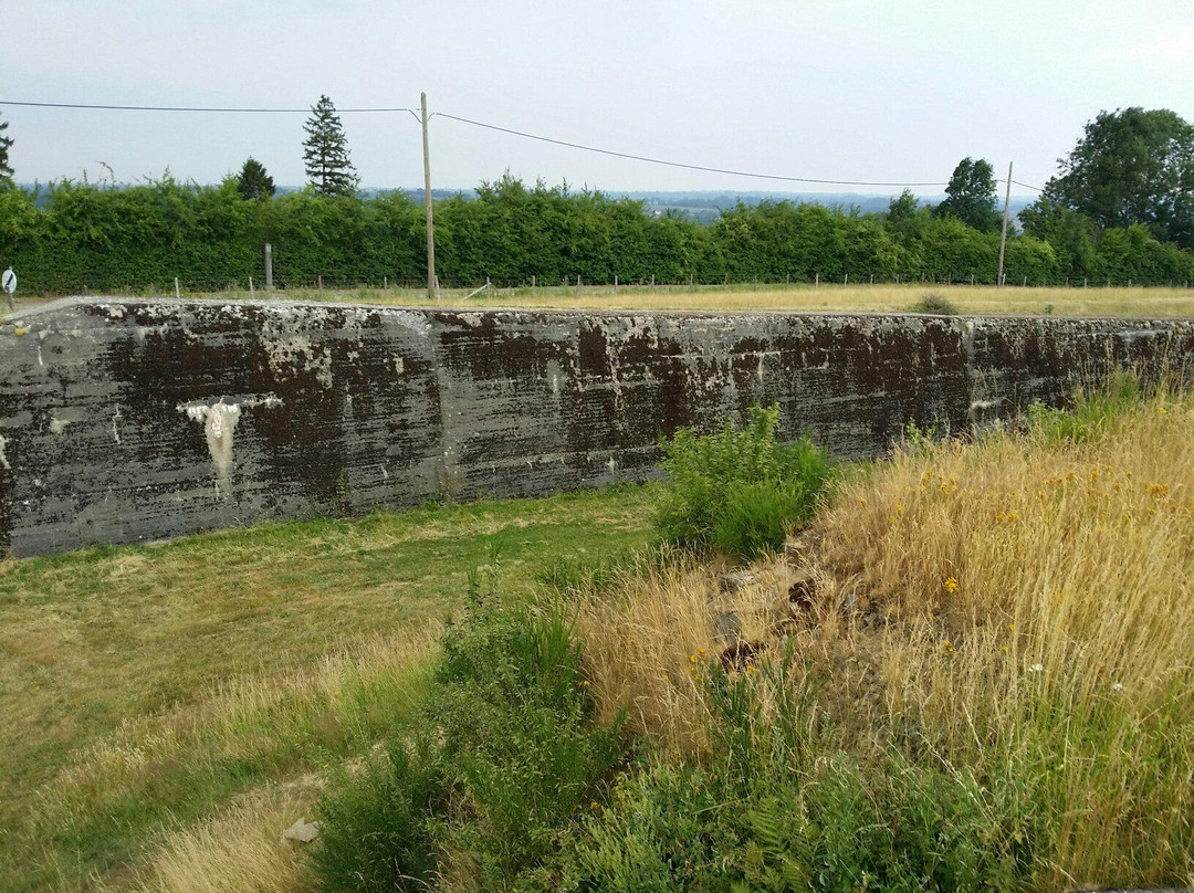 Fort de Tancremont景点图片