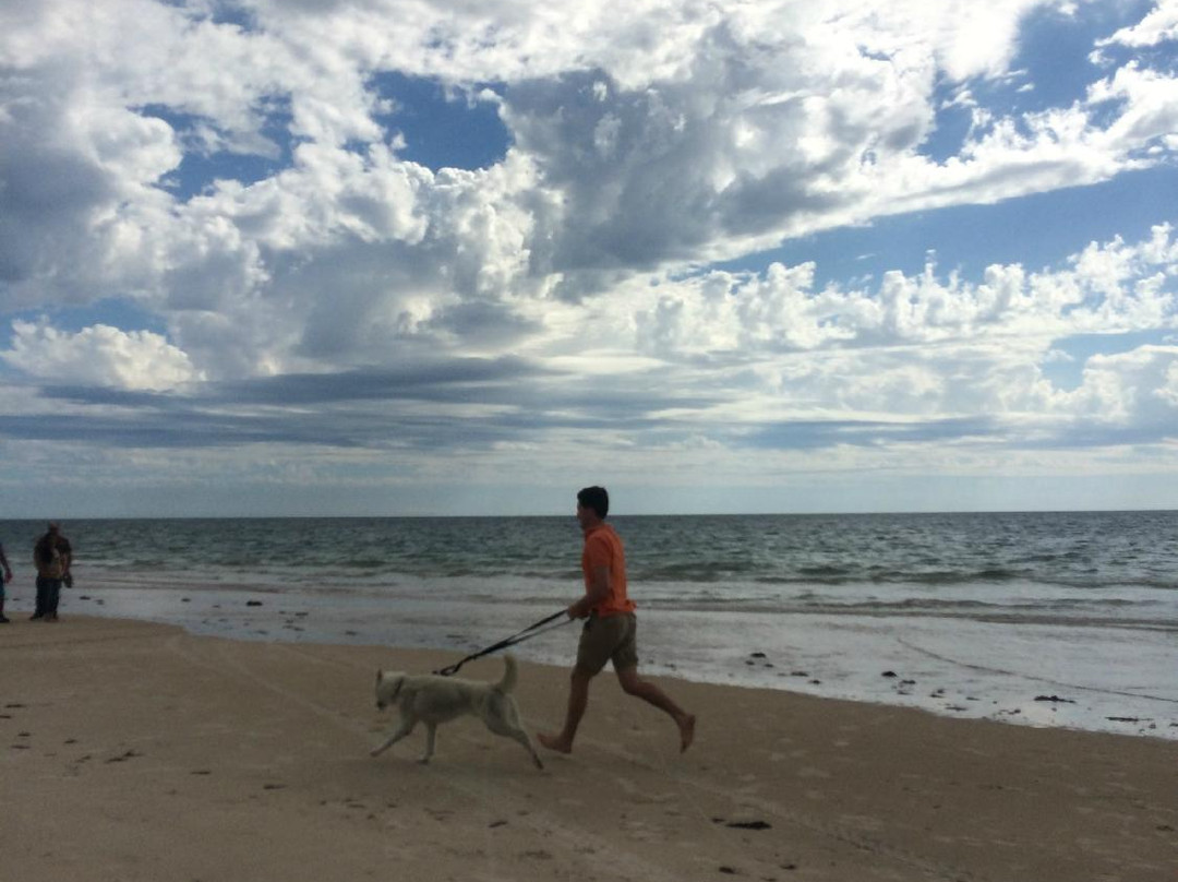 West Beach景点图片
