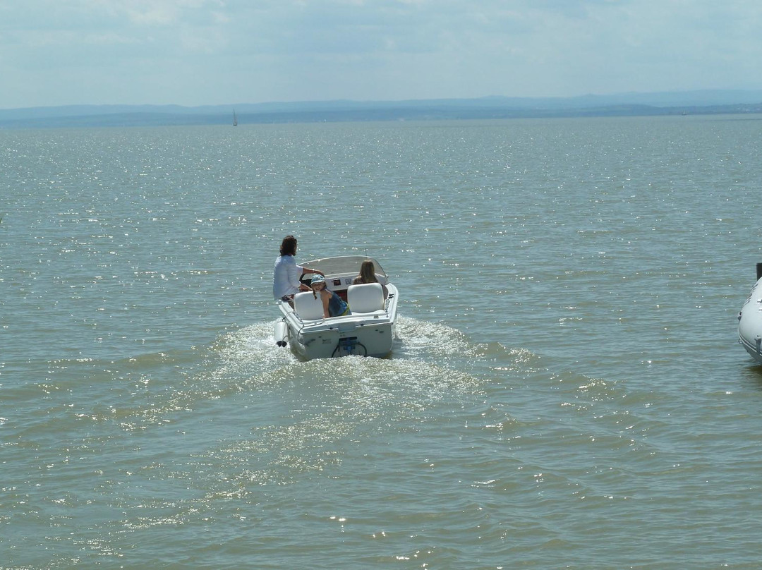 sail.at KREINDL - Segelschule & Yachtcharter-Weiden Am See必去景点